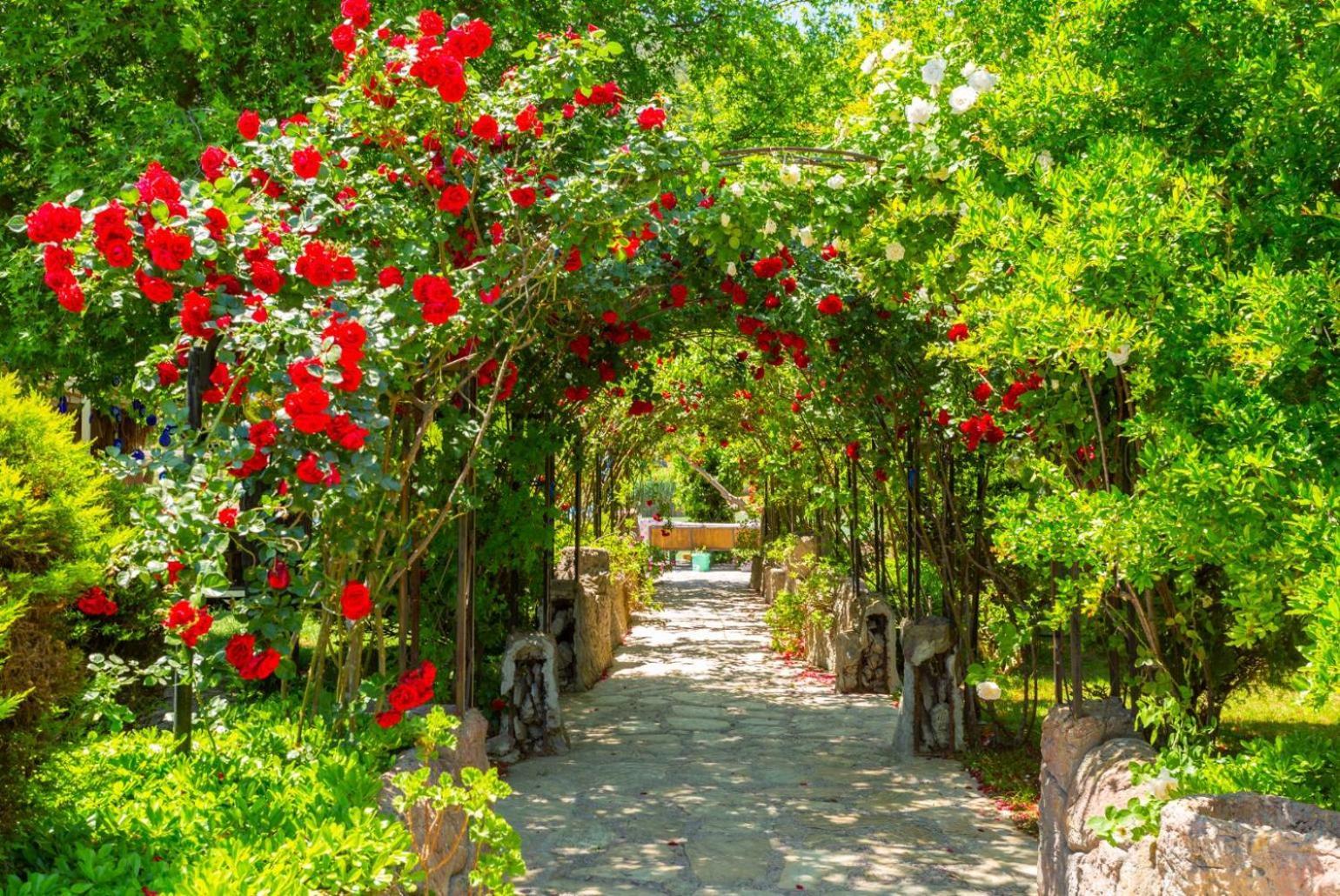 Villa Elmas Paradise Dalyan Exterior foto